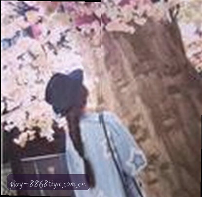 大鹏
